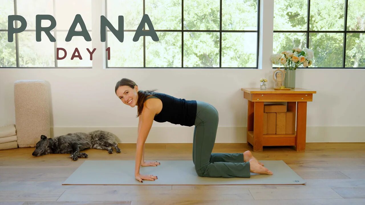 Prana: A New Dawn - Day 1