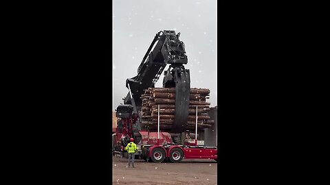 The power of the truck in heavy timber!