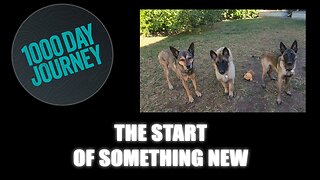 1000 Day Journey 0935 The Start of Something New