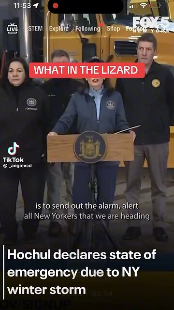 Confirmed Kathy Hochul Is A Reptile!