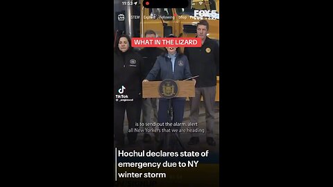 Confirmed Kathy Hochul Is A Reptile!