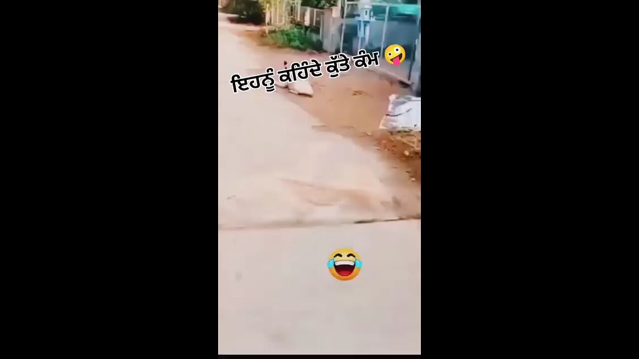 kutte kaam