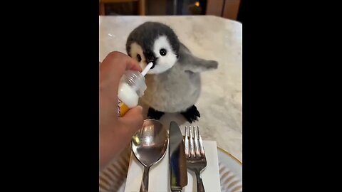Cute