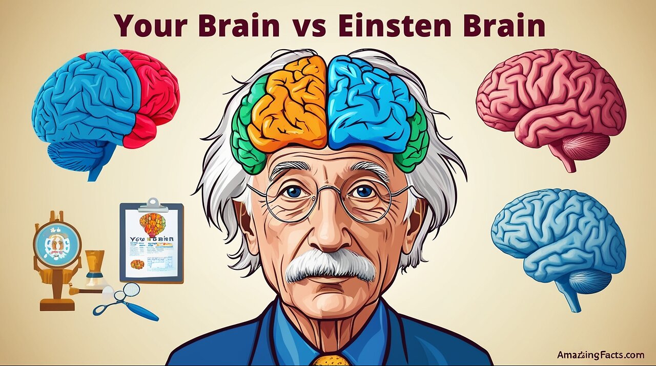 Your Brain VS Einstein’s Brain 🤯 | The Shocking Truth You Didn’t Know! #Shorts