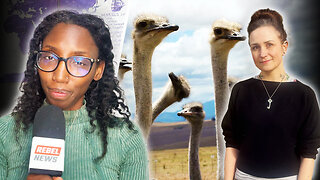 CFIA ostrich farm overreach accelerates as neighbour's property seized, threatened with arrest