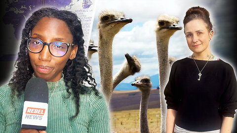 CFIA ostrich farm overreach accelerates as neighbour's property seized, threatened with arrest