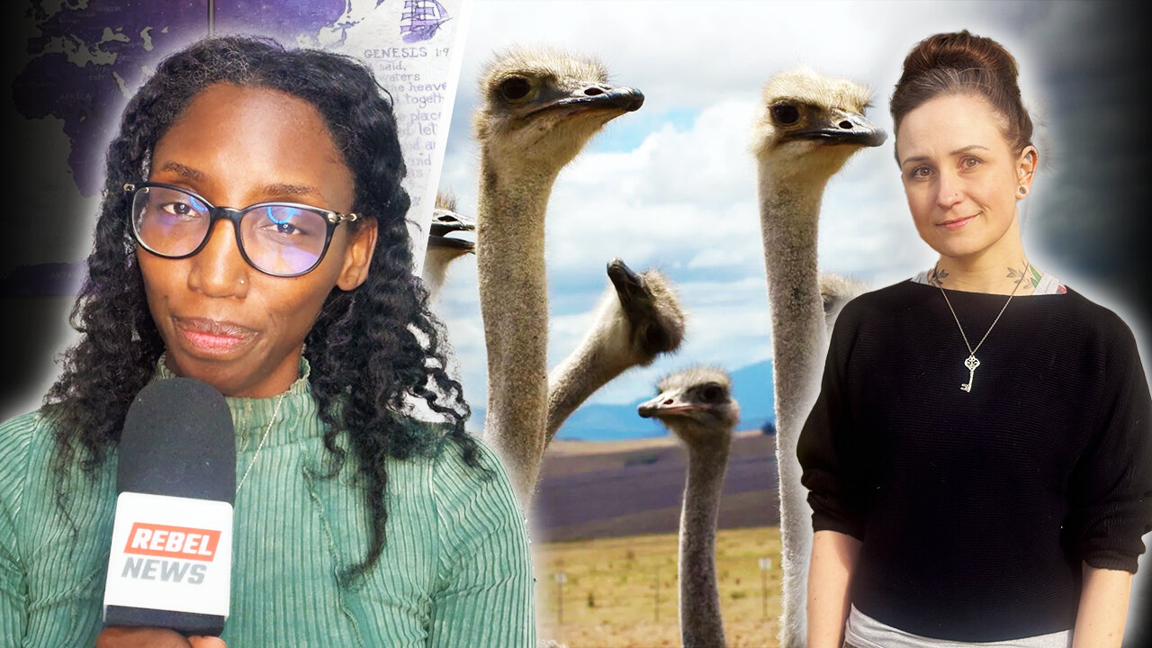 CFIA ostrich farm overreach accelerates as neighbour's property seized, threatened with arrest