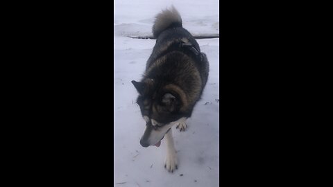 ￼Saturday January 3, Since we have been made right in gods sight by faith.