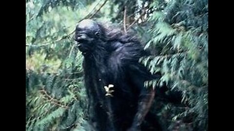 Purple Moth Man and Bigfoot Accounts