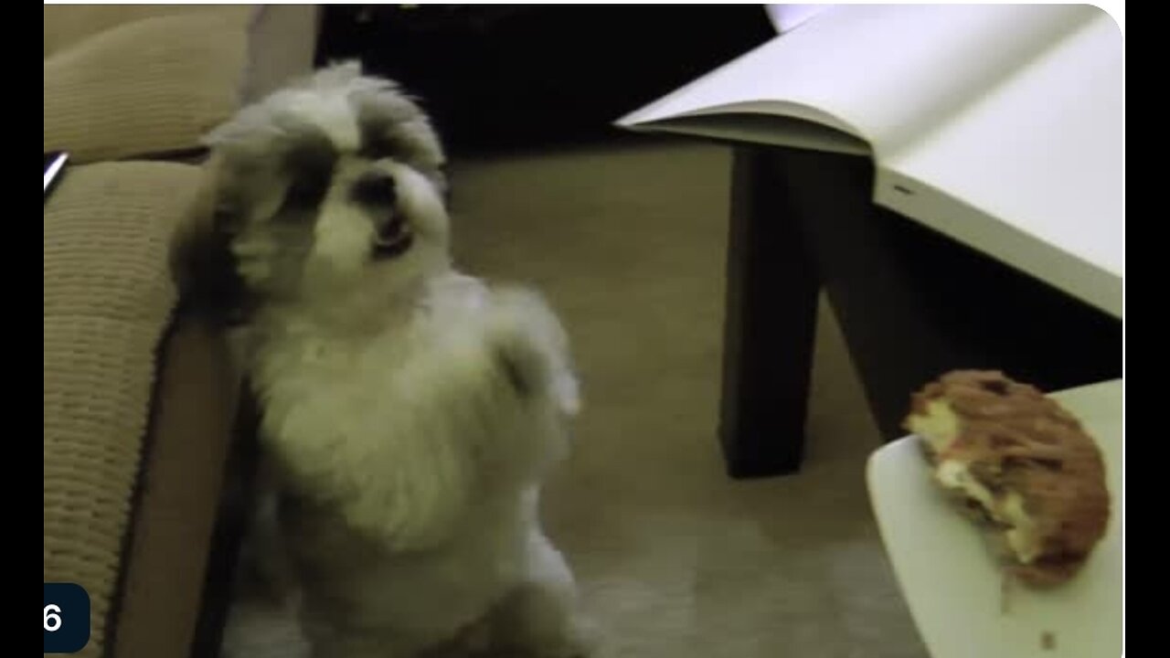 The patient's loved ones anxiously await his recovery