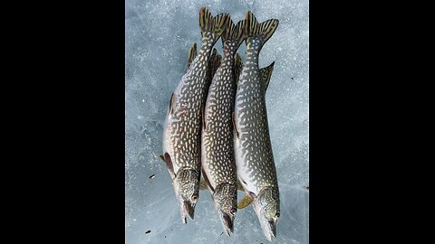 When’s ice fishing ?