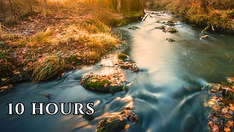FOREST STREAM FLOWING GENTLY • CALM WATER SOUNDS FOR RELAXATION