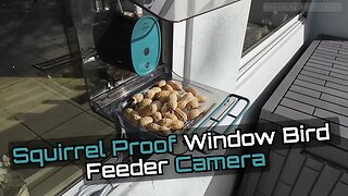 Vakiav Smart Bird Feeder VK-G2 🌿 4K Camera — Full Setup & Live Demo