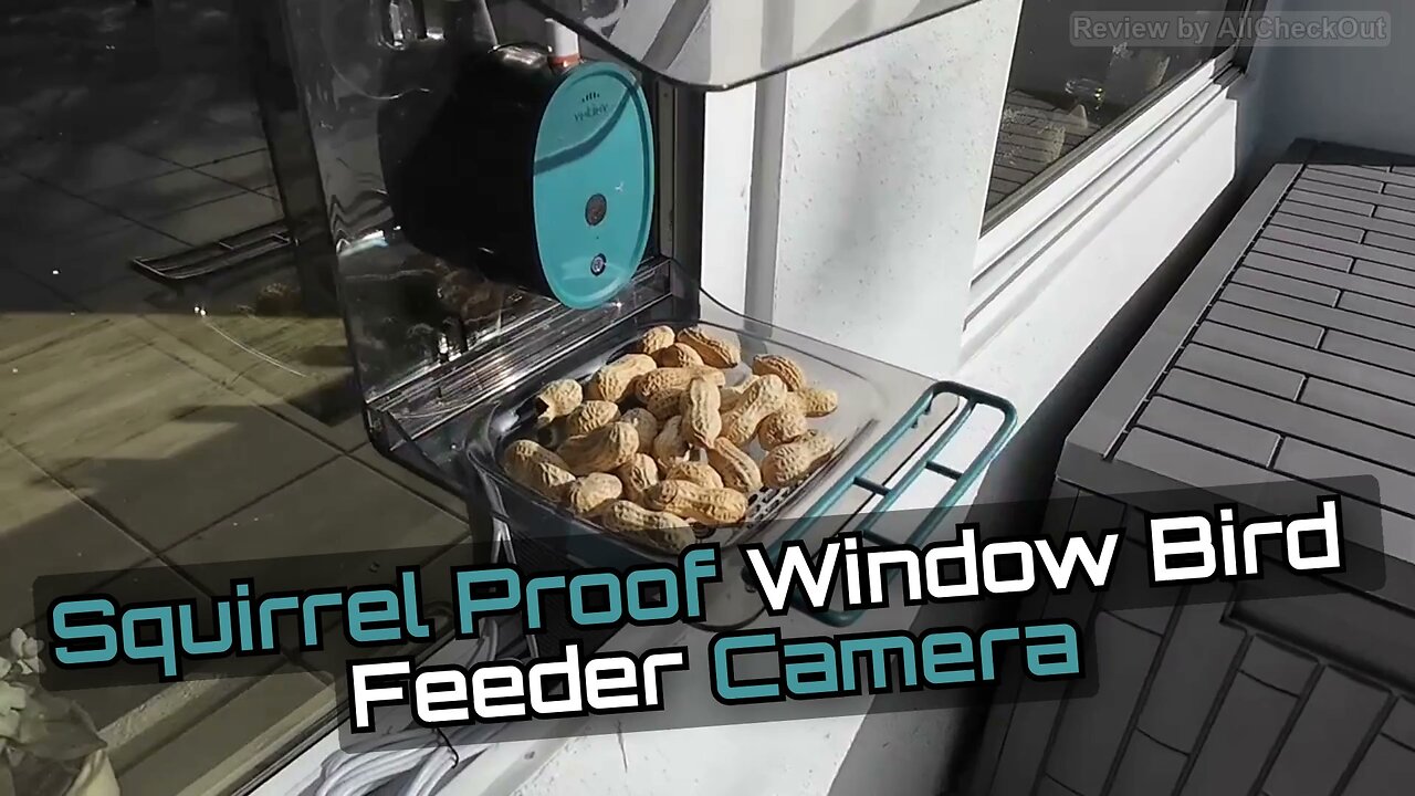 Vakiav Smart Bird Feeder VK-G2 🌿 4K Camera — Full Setup & Live Demo