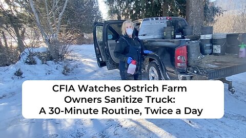 CFIA Watches Ostrich Farm Owners Sanitize Truck: A 30-Minute Routine, Twice a Day