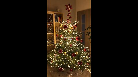 follow if you love christmas like me!