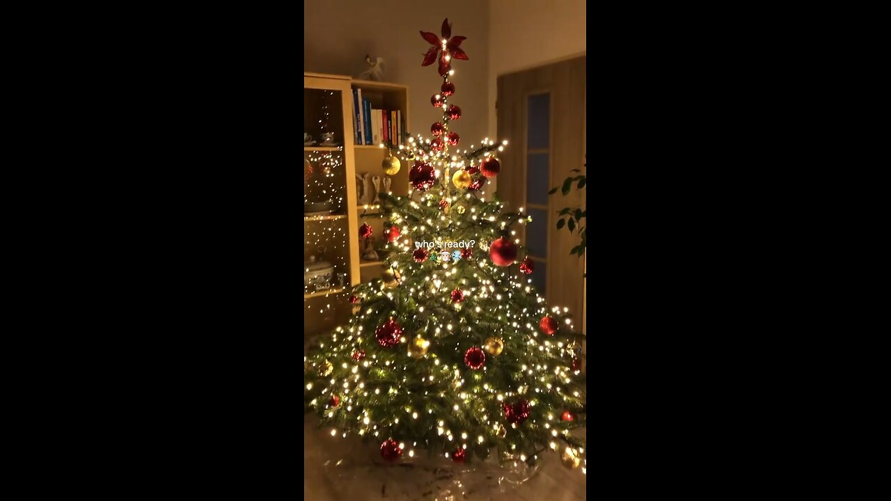 follow if you love christmas like me!