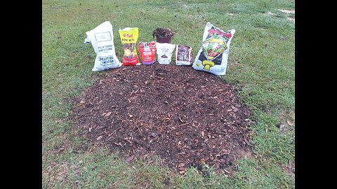 Fall Soil Prep For Next Year's Giant Marconi Pepper Grow 10/8/25
