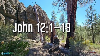 John 12:1-19, Bible Reading in Nature, BSB