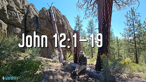 John 12:1-19, Bible Reading in Nature, BSB