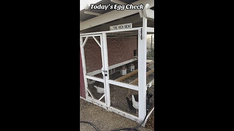 🥚 Today’s Egg Check! 🥚