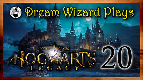 DWP 761 ~ Hogwarts Legacy (2023) ~ #20
