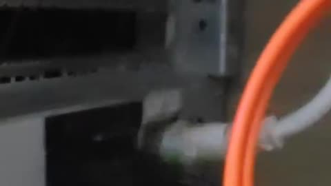 an example of Xeon E7-8891 v4 quad-CPUs