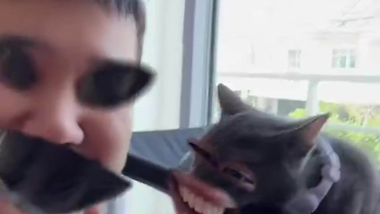 is he laughing or the cat?