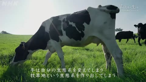 ETV特集 草の大地に生きる ―ある放牧酪農家の人生―