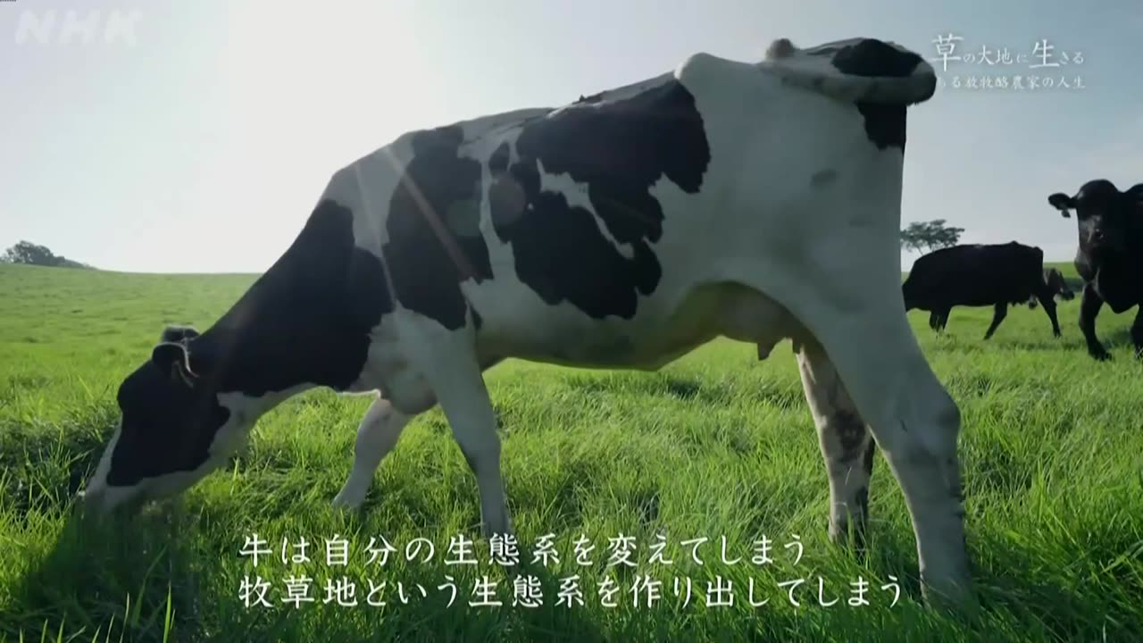 ETV特集 草の大地に生きる ―ある放牧酪農家の人生―