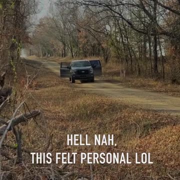 Oh Deer! I think this was personal!