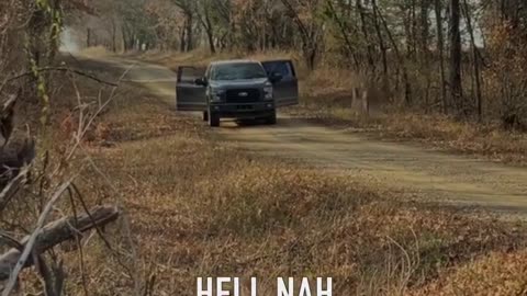 Oh Deer! I think this was personal!