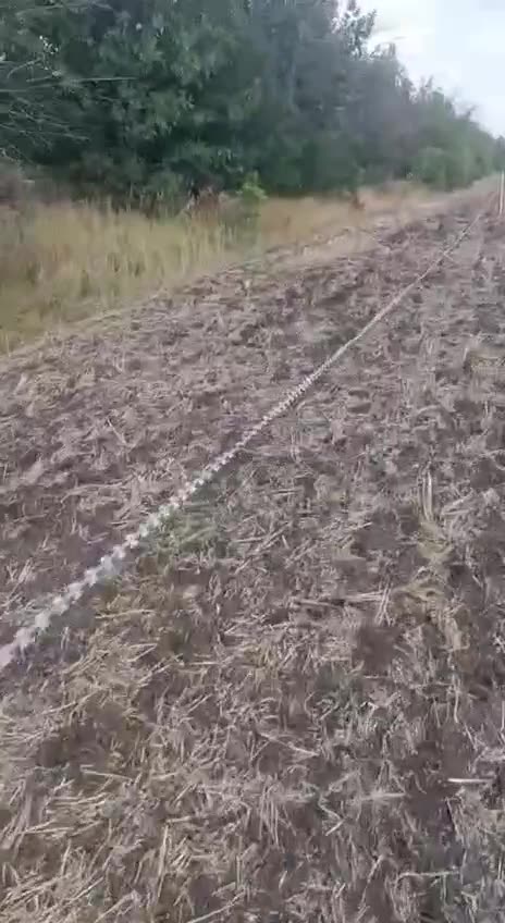 Ukraine has found a weakness in optical drones. They are destroyed by rotating razor blades