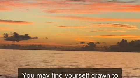 Daily Horoscope | Cancer 🌟