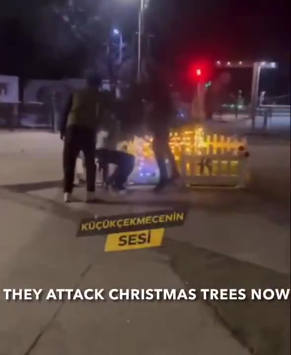 Muslims breaking nativity scenes and Christmas trees !