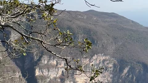 Ants Work To Move Food Closer To Canyon Abyss