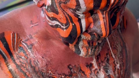 Bengals themed Bald Head Paint Dip