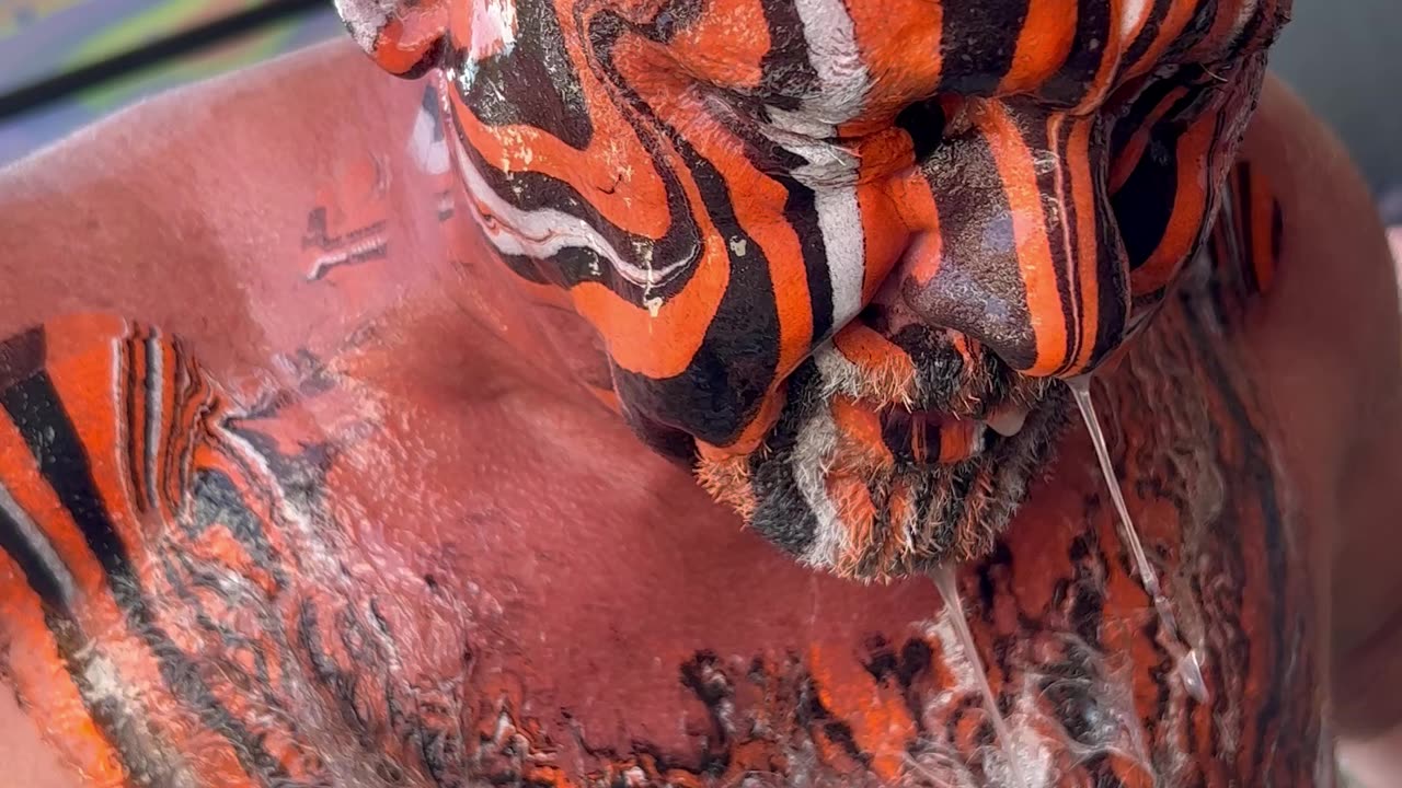 Bengals themed Bald Head Paint Dip