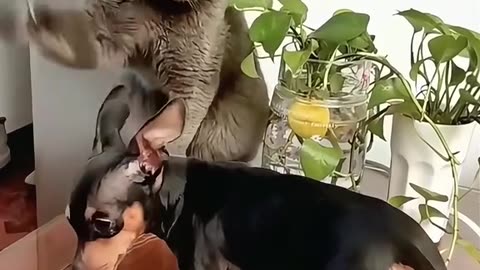 For your mood