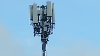 Rothschild BlackRock WEF Power...