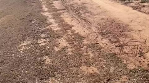 MYB- A WARRIOR'S PATH IS A SOLITUDE PATH