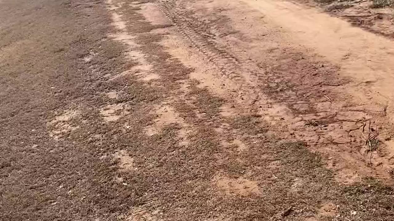 MYB- A WARRIOR'S PATH IS A SOLITUDE PATH