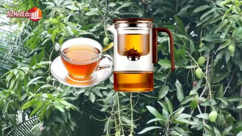 Les bienfaits des feuilles de mangue