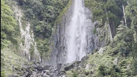 Daily Horoscope | Aquarius 🌟