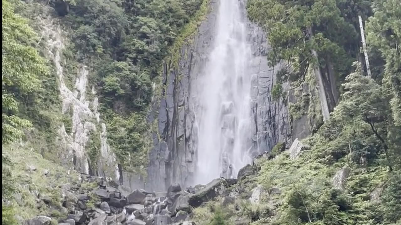 Daily Horoscope | Aquarius 🌟