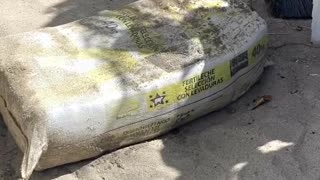 40kg of coke washes up on Miami beach