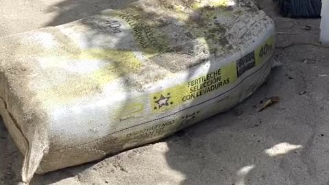 40kg of coke washes up on Miami beach