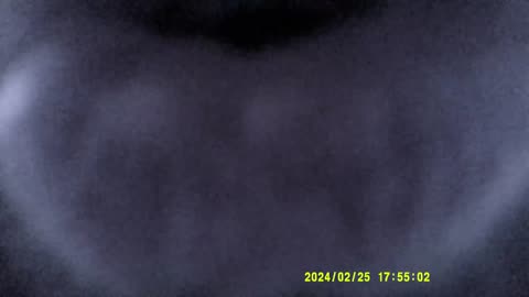 Far Legna In Inverno (Giorno VII°) [25 Febbraio 2024]