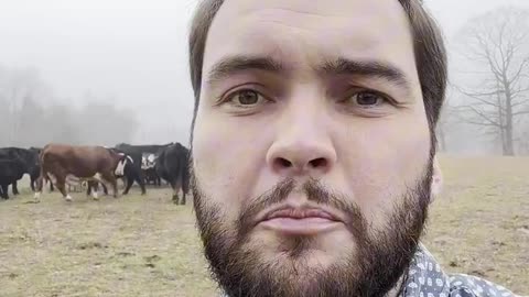 Sen. Colton Moore - 🚨I AM OFFICIALLY RUNNING FOR CONGRESS IN GEORGIA'S 14TH DISTRICT!