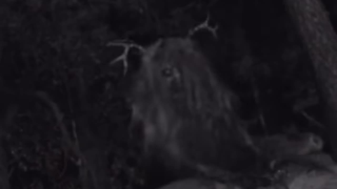 😱👻 Watch at Your Own Risk! Windigo Mystery | TheHauntingHour